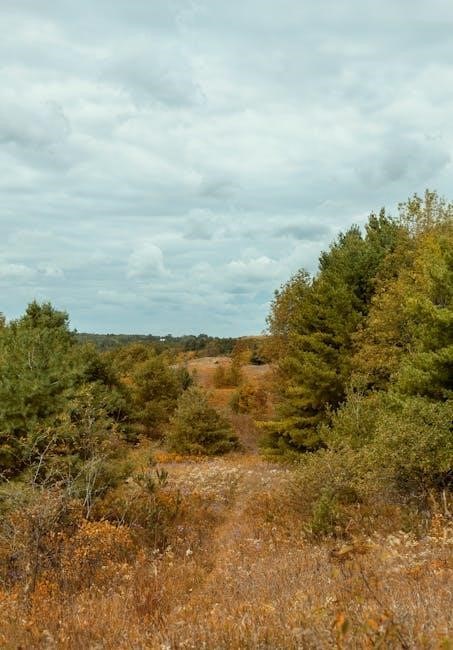 a field guide to trees of ontario