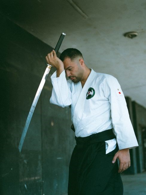 panic at the dojo pdf